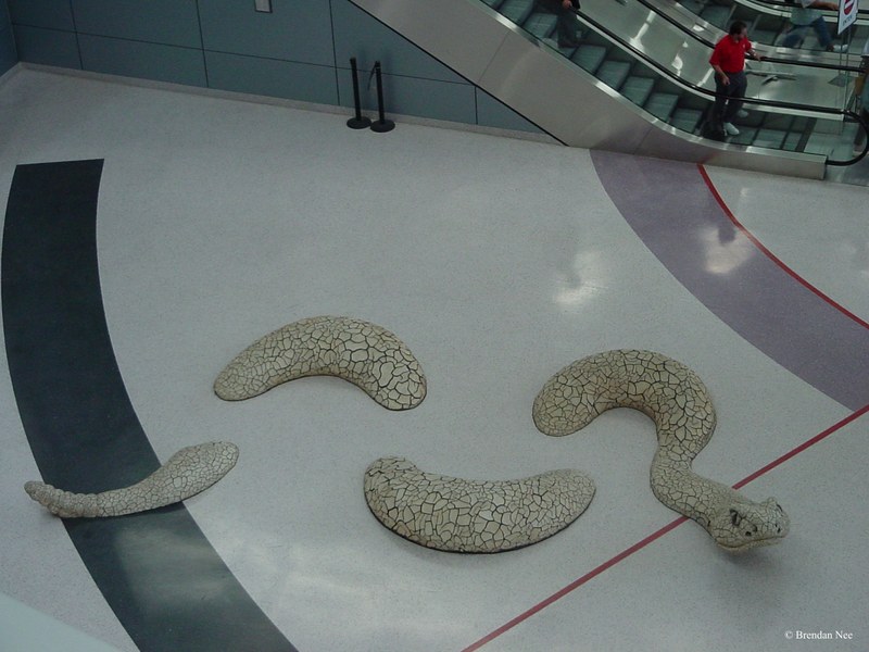 Las Vegas Airport - Las Vegas 8-02 117